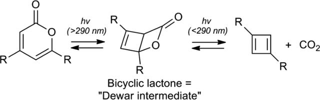 [Figure 4]