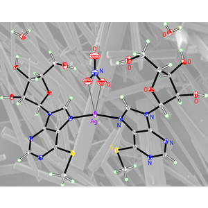 IUCr) Synthesis and crystal structure of a silver(I) 6