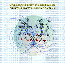 Highlighted illustration