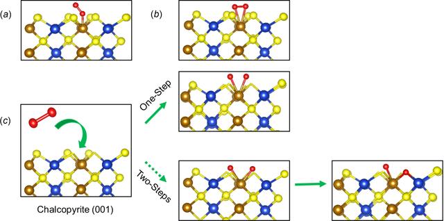 [Figure 5]