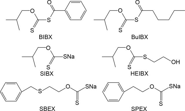 [Figure 6]