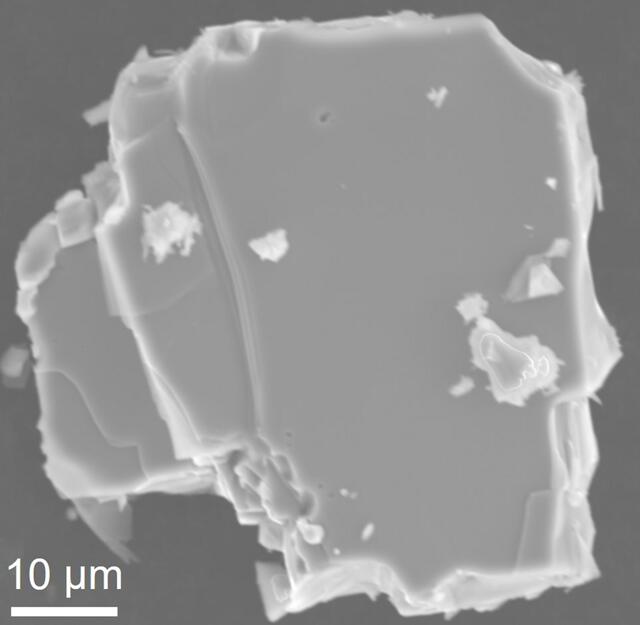 [Figure 1]