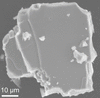 [Figure 1]