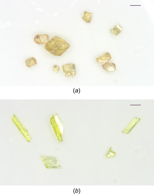 [Figure 1]