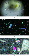 [Figure 7]