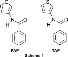 [Scheme 1]