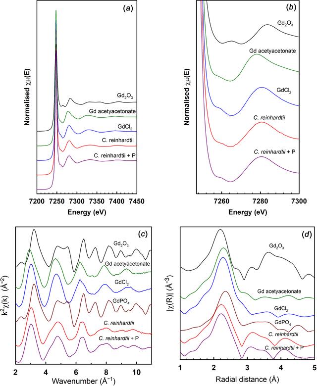 [Figure 2]