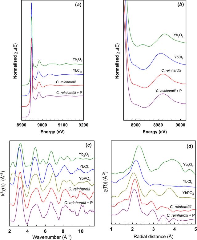 [Figure 3]