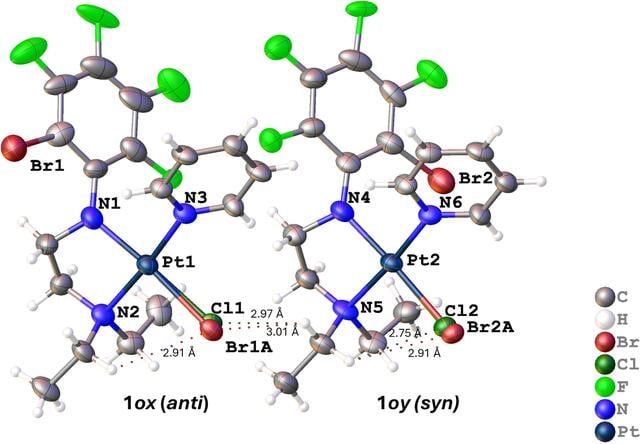 [Figure 4]