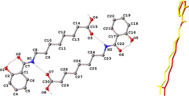 [Figure 1]