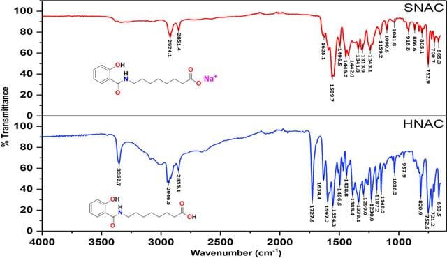 [Figure 6]