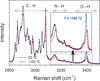 [Figure 4]