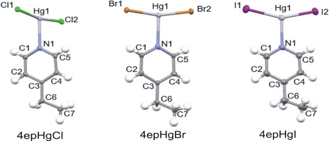 [Figure 1]