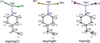 [Figure 1]