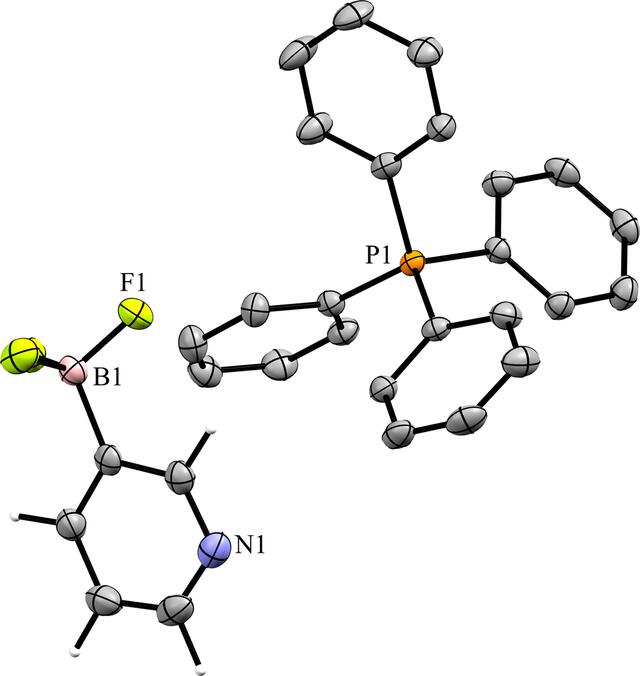 [Figure 12]