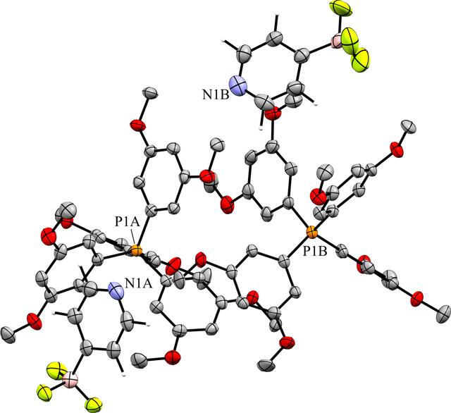 [Figure 20]
