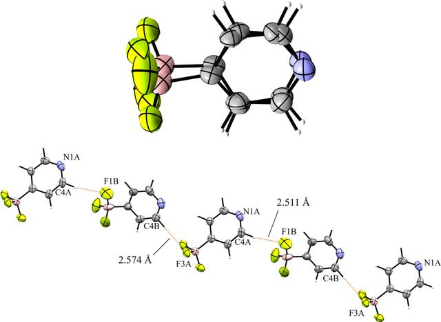 [Figure 22]