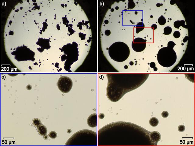 [Figure 4]