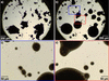 [Figure 4]