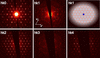 [Figure 7]