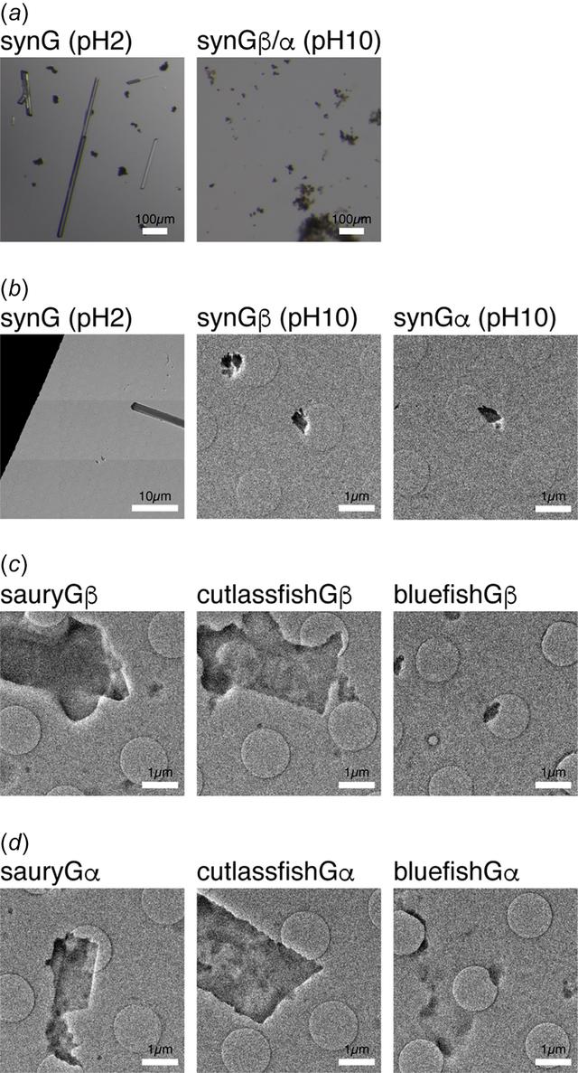 [Figure 2]
