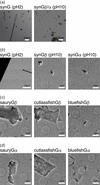 [Figure 2]
