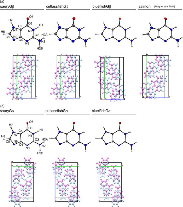 [Figure 4]
