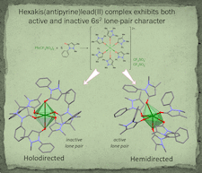 Highlighted illustration