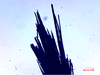link to html