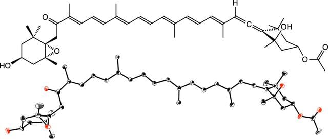 [Figure 1]