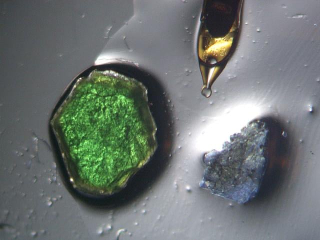 [Figure 1]