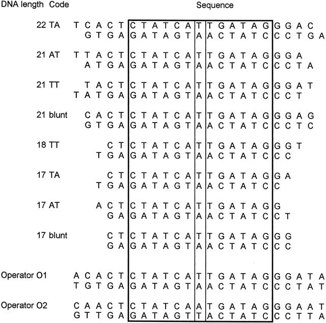 [Figure 1]