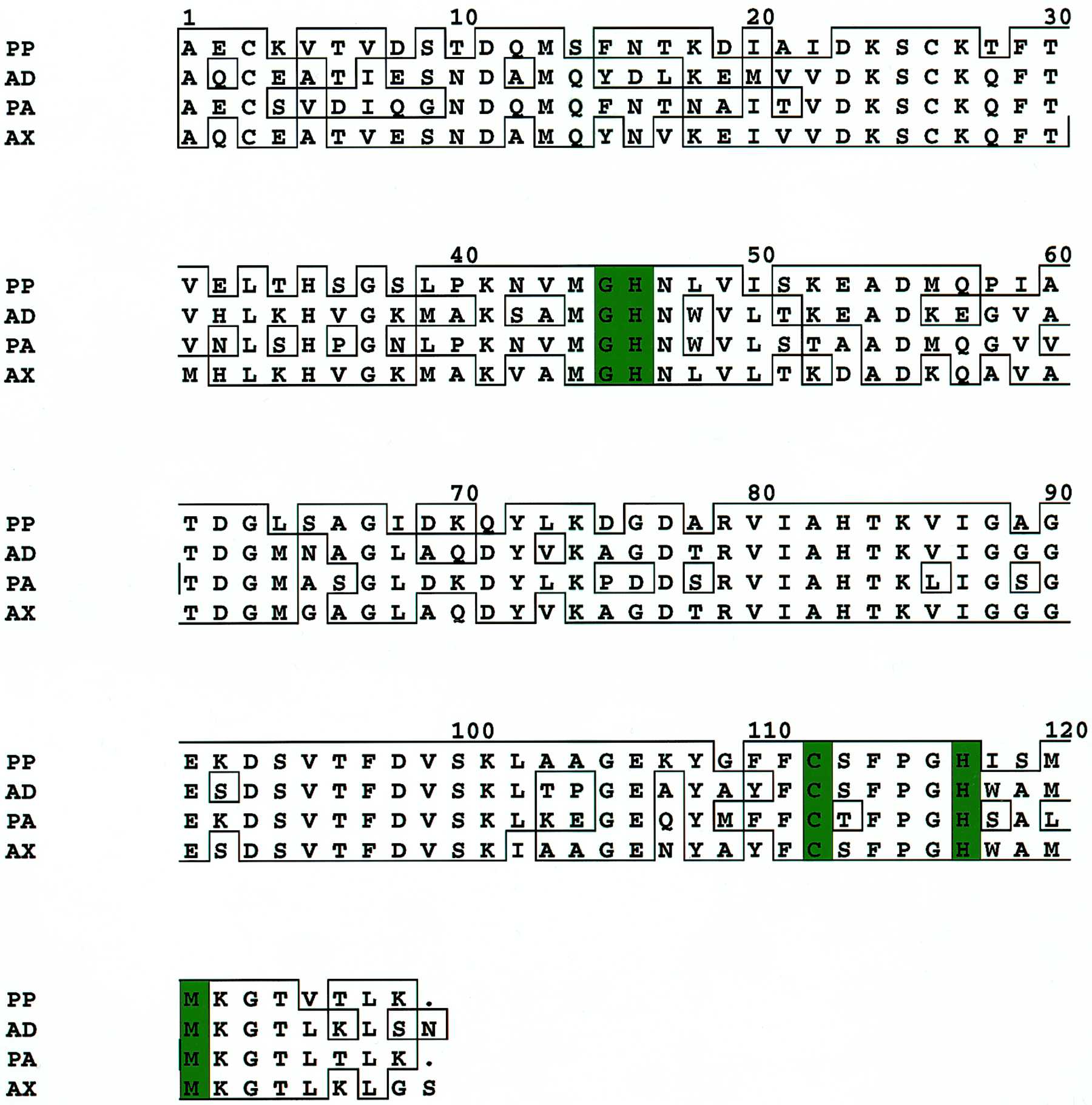 Iucr Crystallographic Study Of Azurin From Span Class It I Pseudomonas Putida I Span