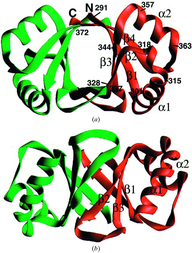 dna binding repertoire biology meaning dna binding repertoire biology meaning