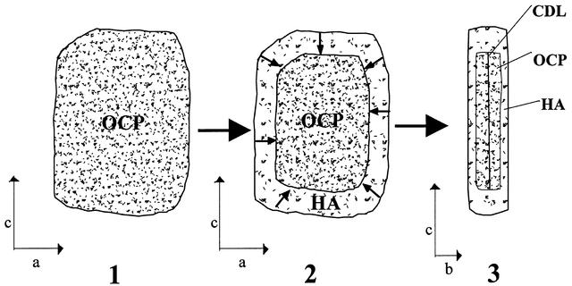 [Figure 4]