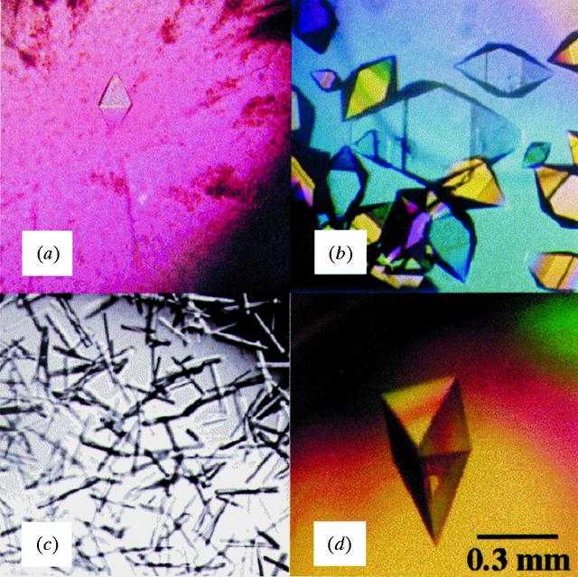 [Figure 3]
