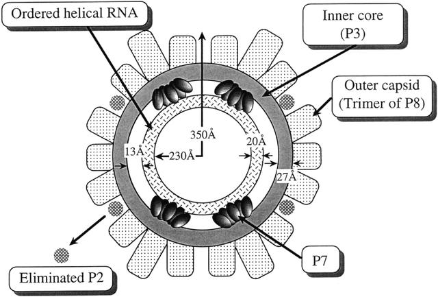 [Figure 9]