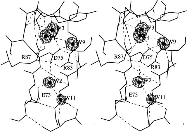 [Figure 10]