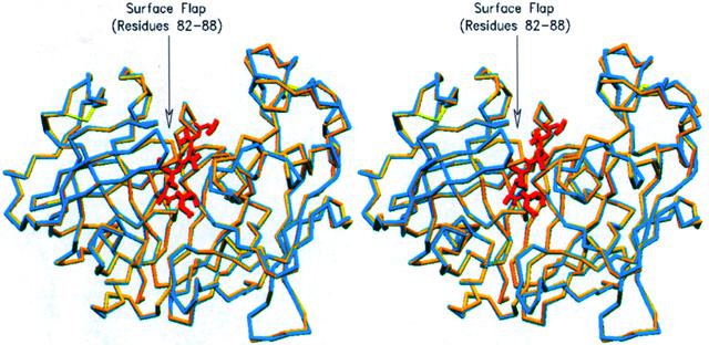 [Figure 5]