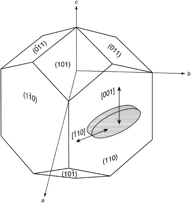 (IUCr) Determining the molecular-growth mechanisms of protein crystal ...