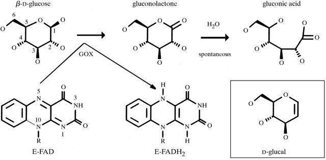 [Figure 1]