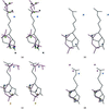 (IUCr) Atomic resolution structure of biotin-free Tyr43Phe streptavidin ...