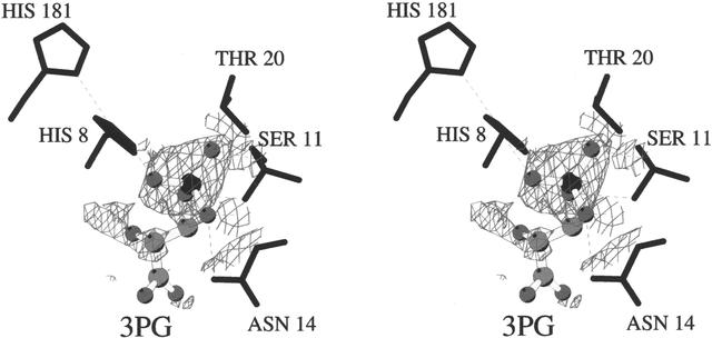 [Figure 3]