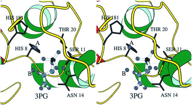 [Figure 5]