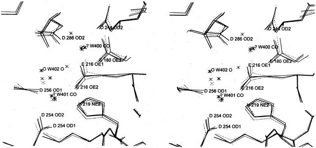 [Figure 4]