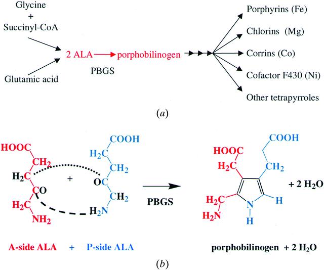 [Figure 1]
