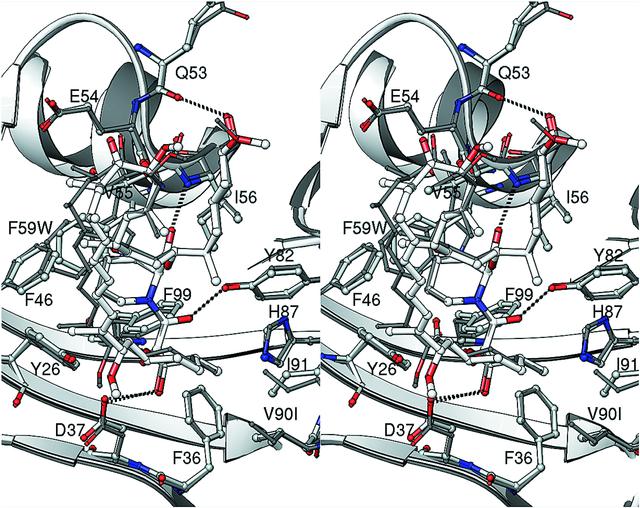 [Figure 4]