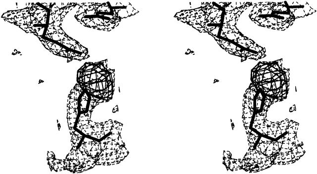 [Figure 4]