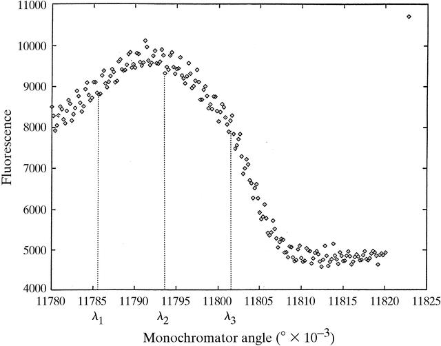 [Figure 1]