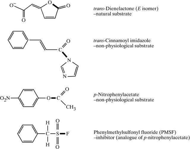 [Figure 1]